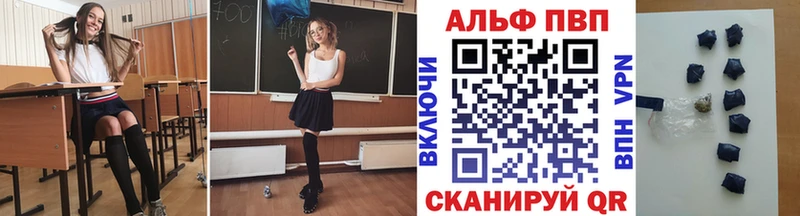Alpha PVP СК КРИС Котлас