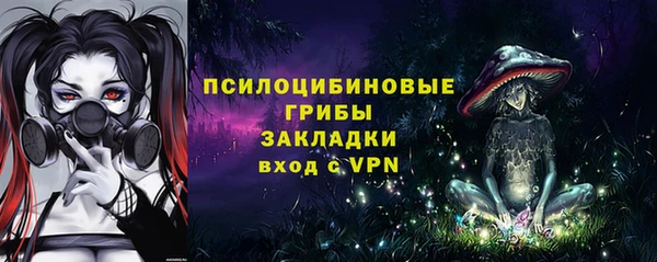гидра Алзамай