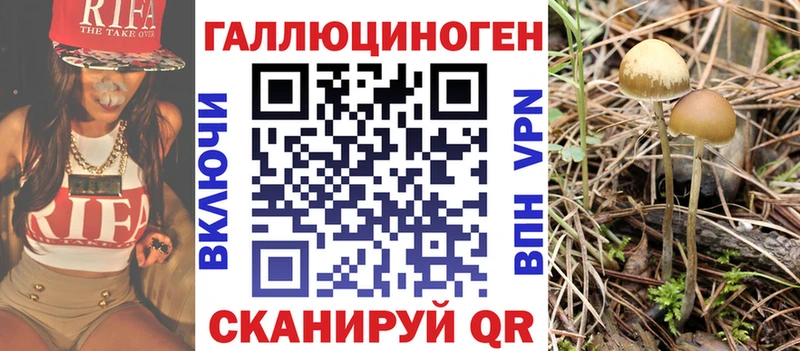 Псилоцибиновые грибы Psilocybine cubensis  Котлас 