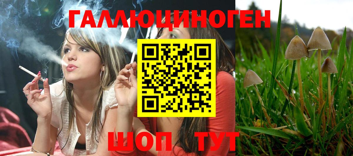 Галлюциногенные грибы мухоморы Котлас