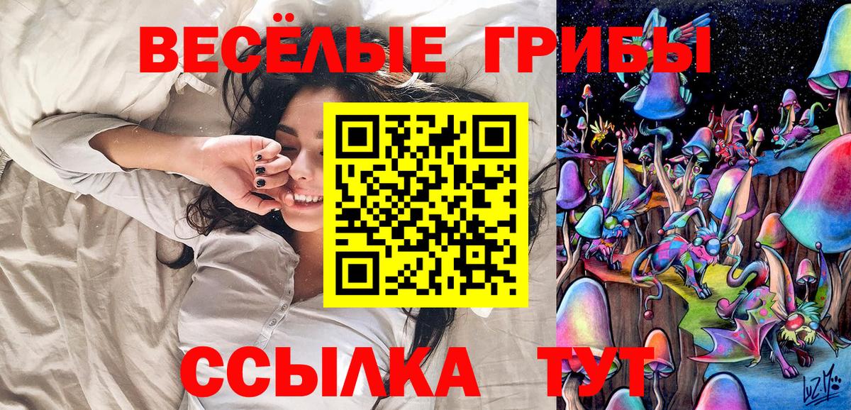 Котлас  Псилоцибиновые грибы GOLDEN TEACHER  Вход с VPN  Галлюциногенные грибы ЛСД 
